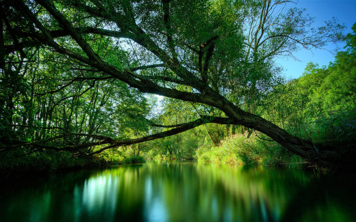 475891 (a): :2560x1600